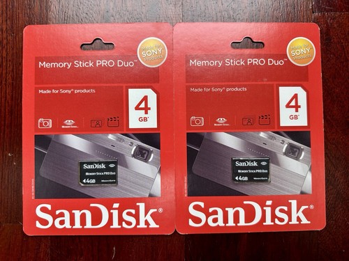 Sandisk 4gb memory - 4gb, stick