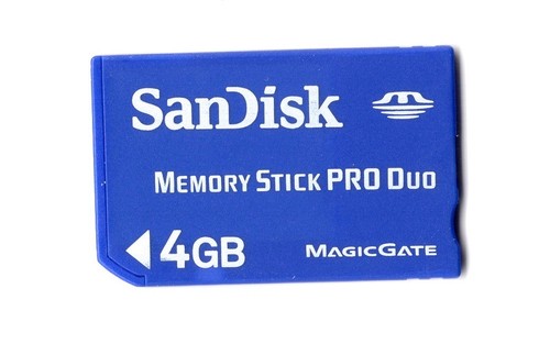 Sandisk 4gb memory - 4gb,